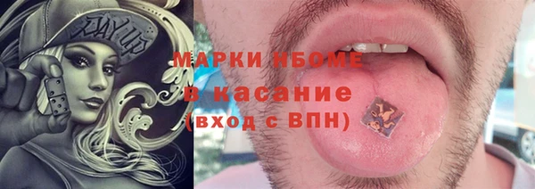 прущие грибы Нягань