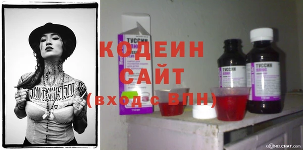 прущие грибы Нягань