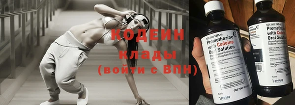 прущие грибы Нягань