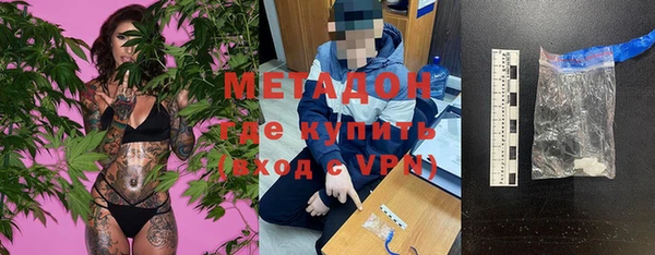 прущие грибы Нягань