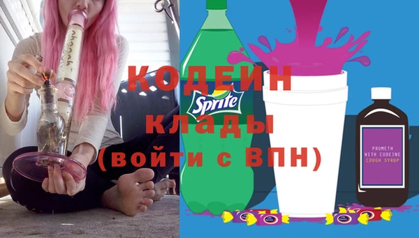 прущие грибы Нягань